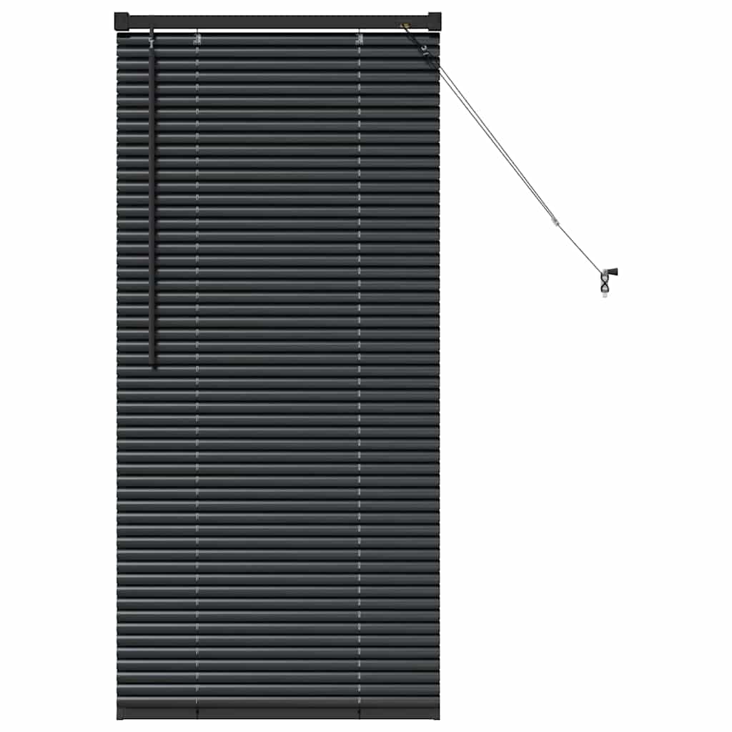 Venetian Blinds Manual Black 60 x 2.5 x 130 cm Aluminium