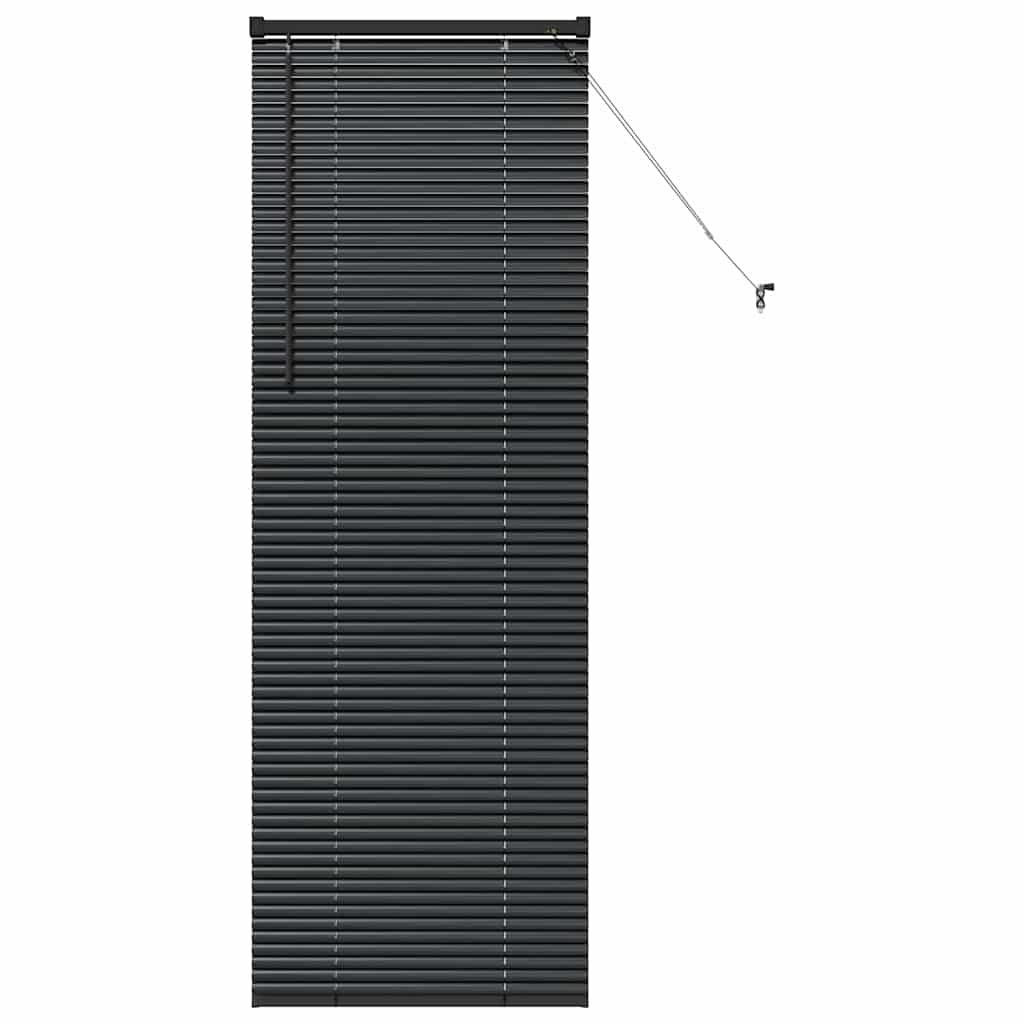 Venetian Blinds Height Adjustable Black 175 x 60 cm Aluminium