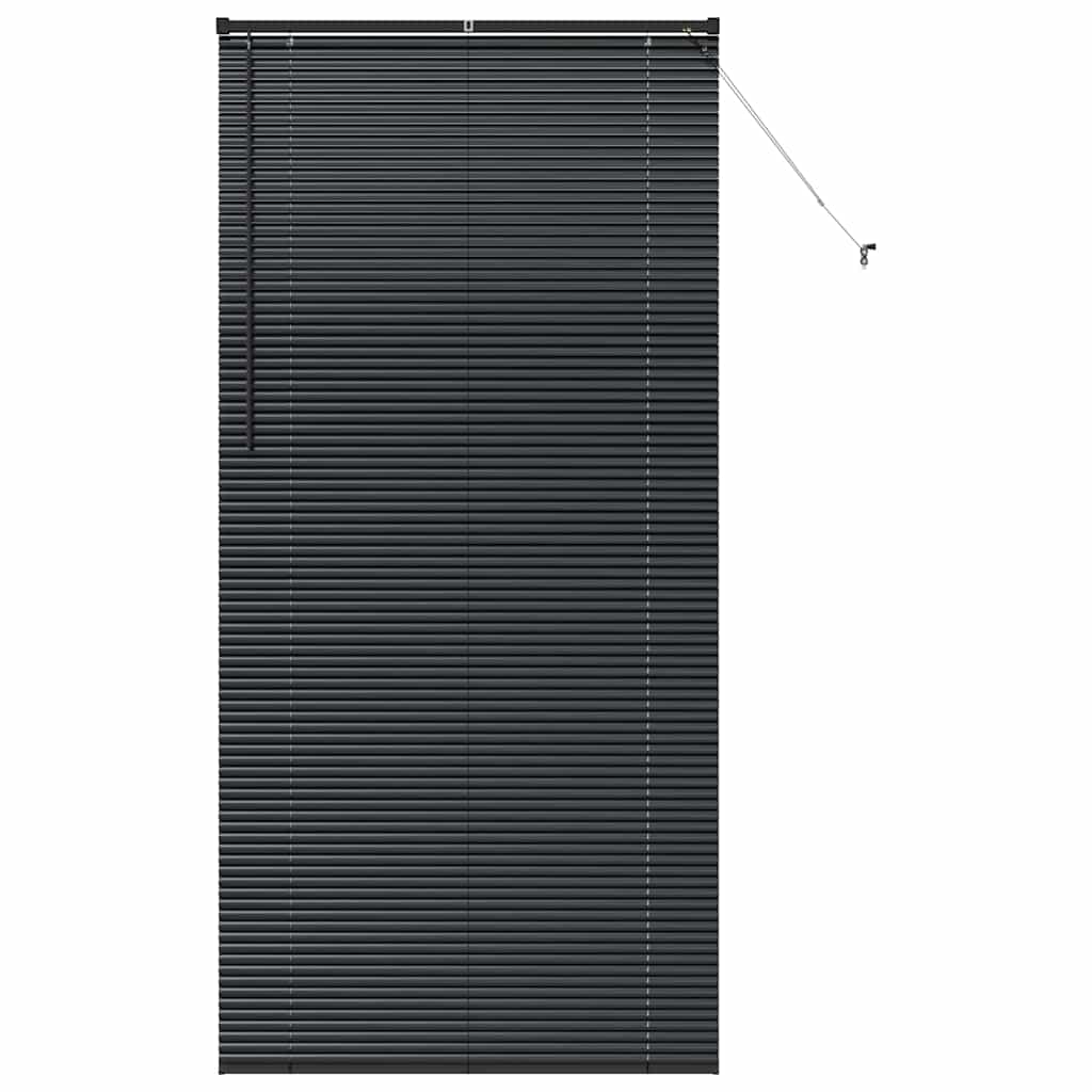 Venetian Blinds Height Adjustable Black 220 x 100 cm Aluminium