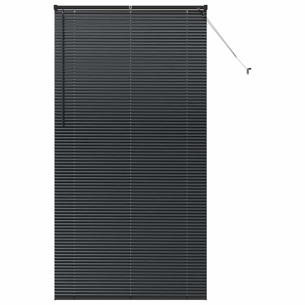 Venetian Blinds Height Adjustable Black 220 x 110 cm Aluminium