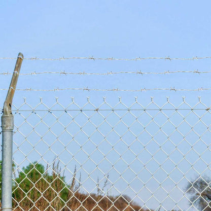 Barbed Wire Silver 50 m Hot-dip Galvanised Steel