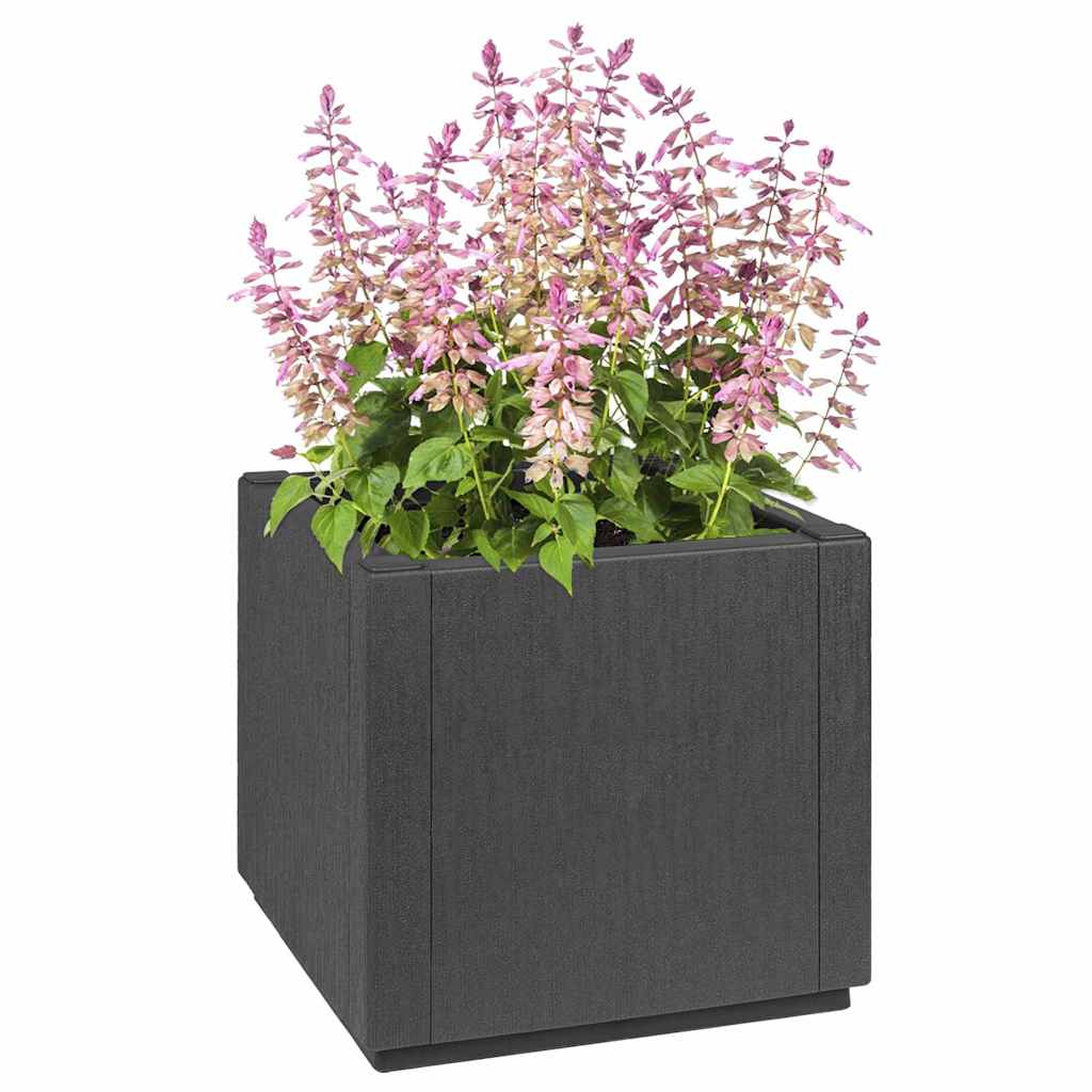 Flower Box Dark Grey 36 x 36 x 35 cm Plastic