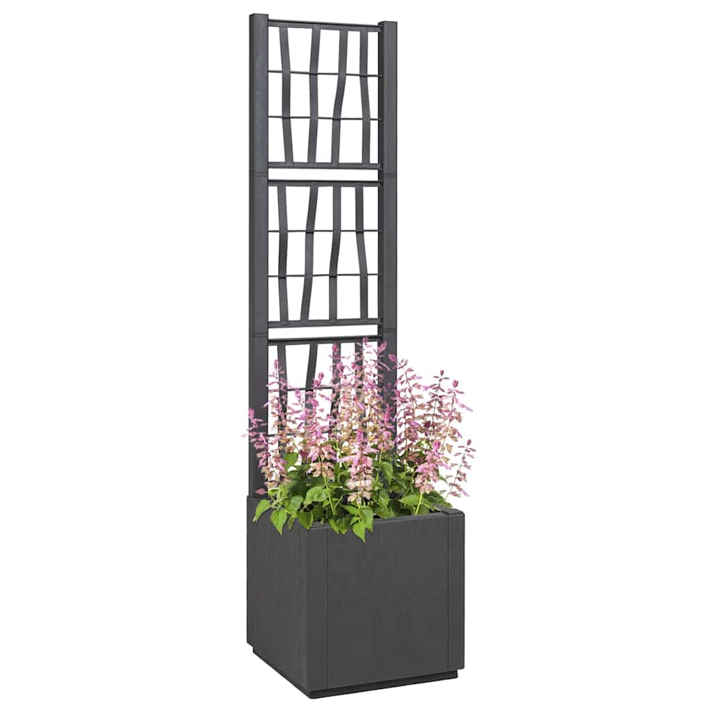 Flower Box Dark Grey 36 x 36 x 140 cm Plastic