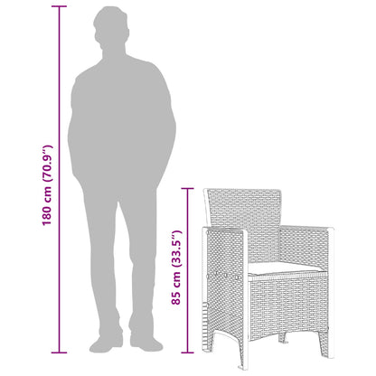 Garden Chair 2 pcs Brown Polypropylene