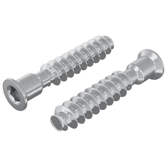 Head Cap Screw 2 pcs Silver M7 x 40 mm Steel