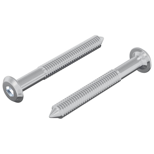 Screw 2 pcs Silver M6 x 50 mm Steel
