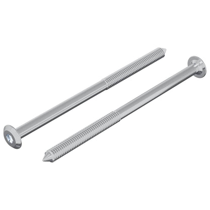 Screw 2 pcs Silver M6 x 100 mm Steel