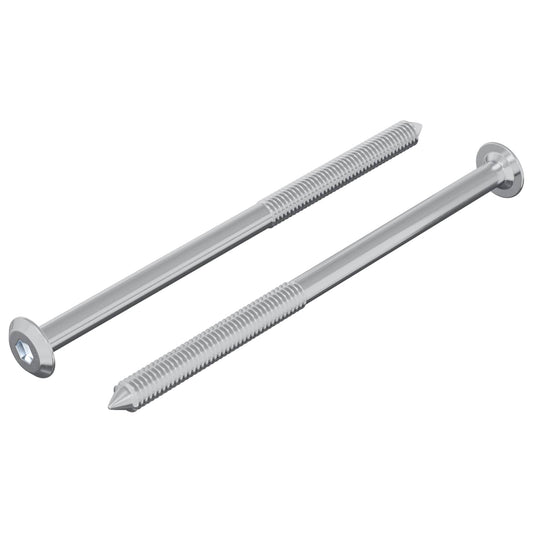Screw 2 pcs Silver M6 x 100 mm Steel
