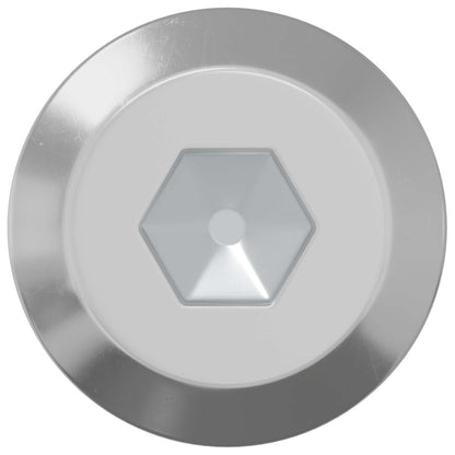 Screw 2 pcs Silver M6 x 100 mm Steel