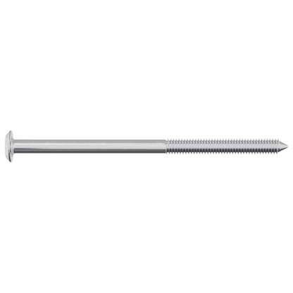Screw 2 pcs Silver M6 x 100 mm Steel