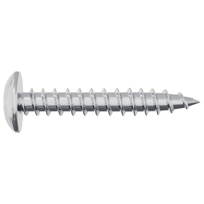 Self Tapping Nail 2 pcs Zinc-coated 4 x 25 mm Steel