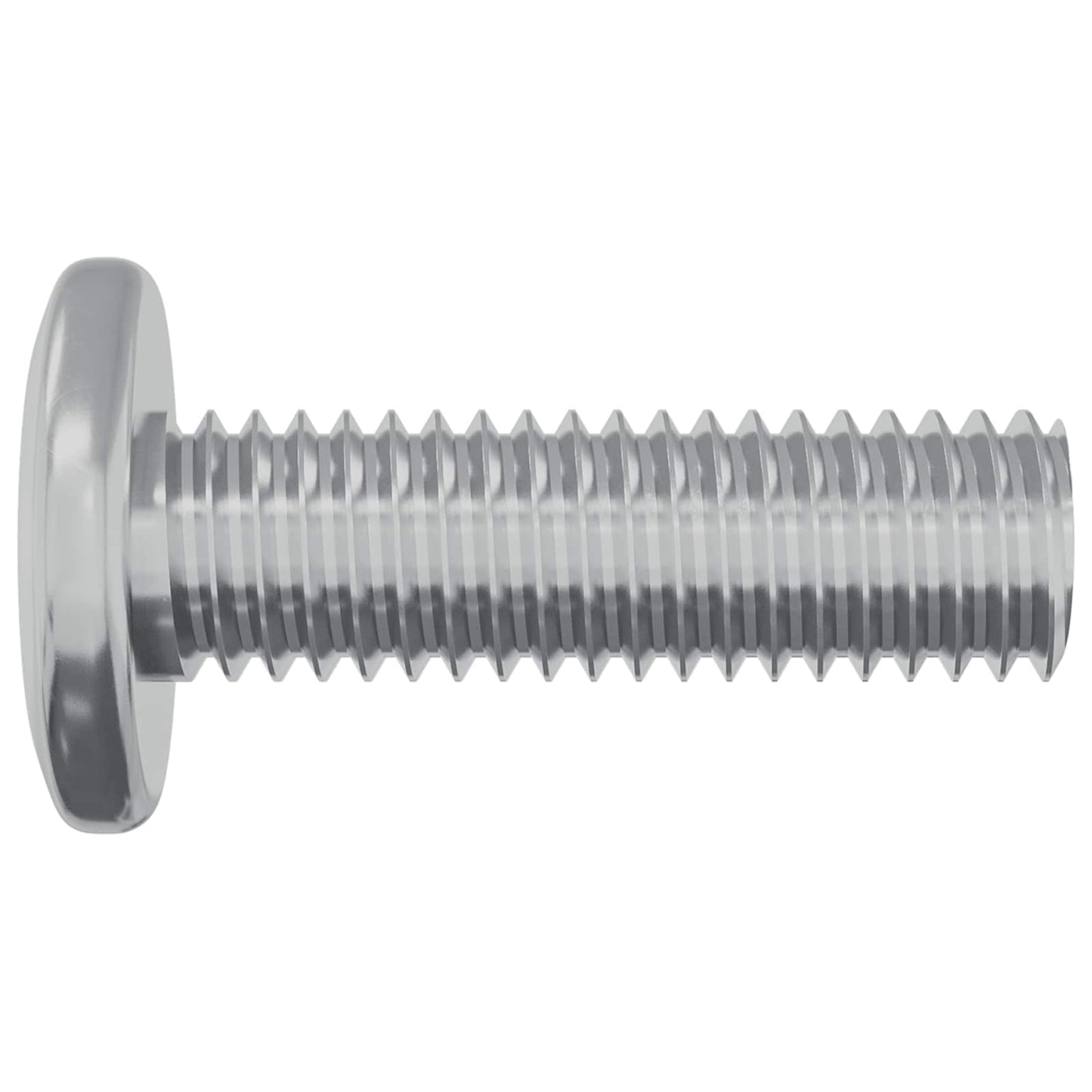 Screw 2 pcs Silver 8 x 25 mm Steel