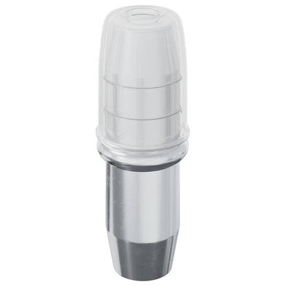 Shelf Peg 12 pcs Silver 7 x 16 mm Iron