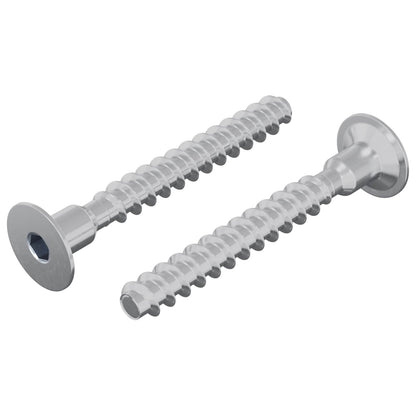 Screw 2 pcs Zinc-coated 5 x 40 mm Iron