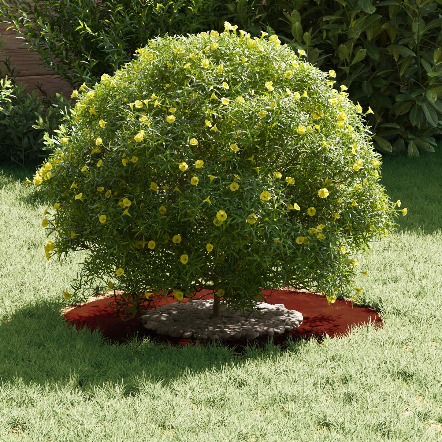 suitable for Flat Tree Rings 5 pcs Rusty Ø30/60 cm