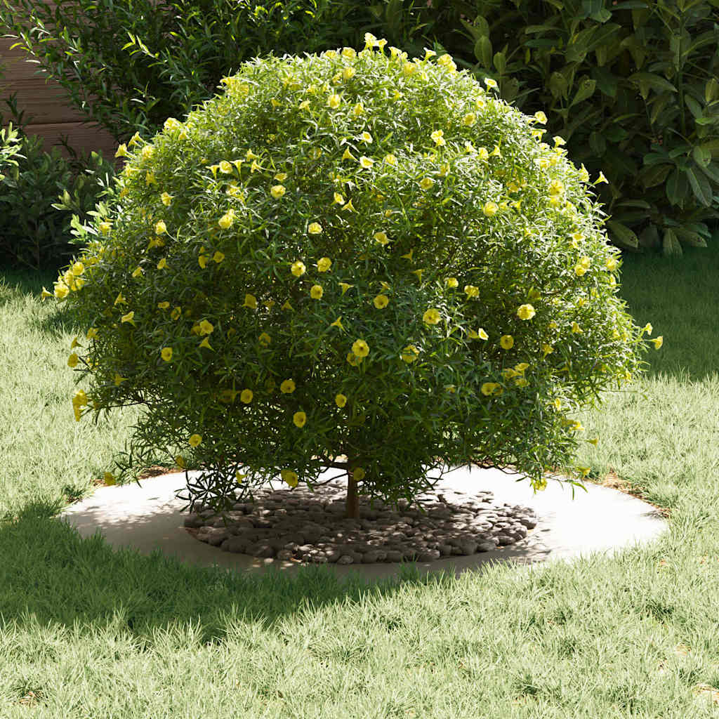 suitable for Flat Tree Rings 5 pcs White Ø40 / 70 cm Steel
