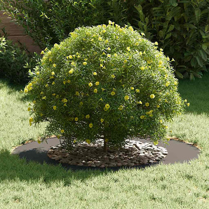 suitable for Flat Tree Rings 5 pcs Black Ø50 / 80 cm Steel