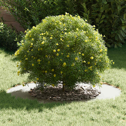 suitable for Flat Tree Ring White Ø50 / 80 cm Steel