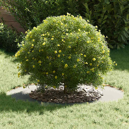 suitable for Flat Tree Ring Silver Ø50 / 80 cm Galvanised steel