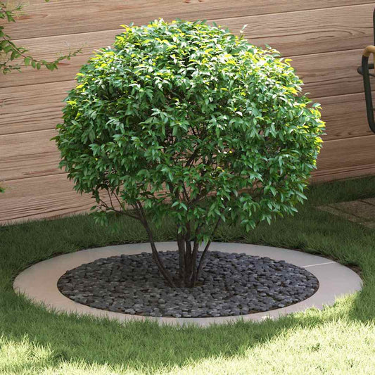 suitable for Flat Tree Rings 5 pcs Silver Ø90/120 cm