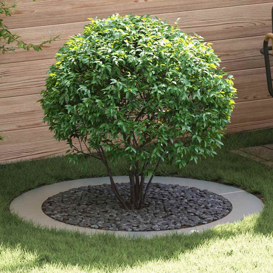 suitable for Flat Tree Rings 5 pcs Silver Ø90/120 cm