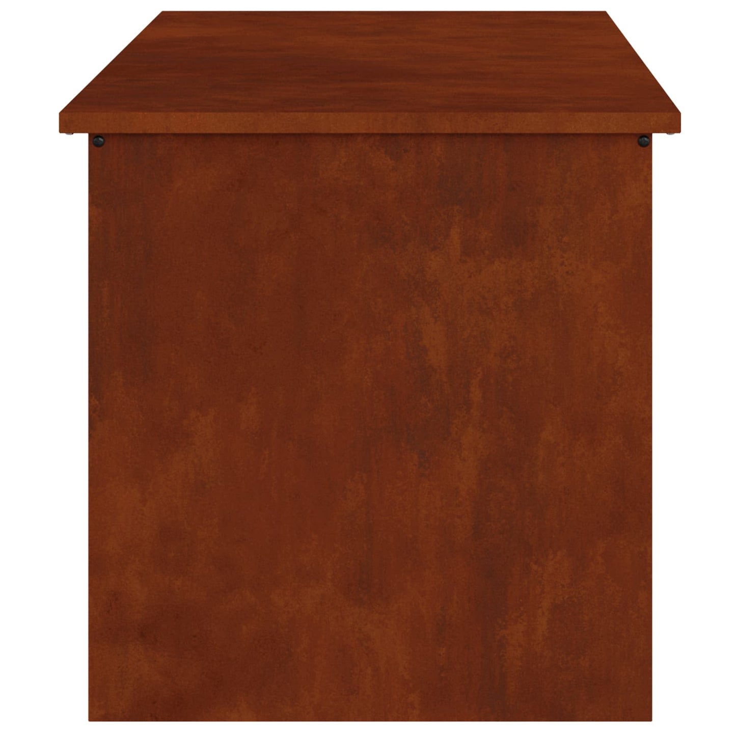 Outdoor Storage Box Rusty 100 x 50.5 x 50 cm Steel
