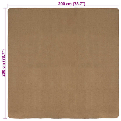 Area Rugs Light Brown 200 x 200 cm Jute