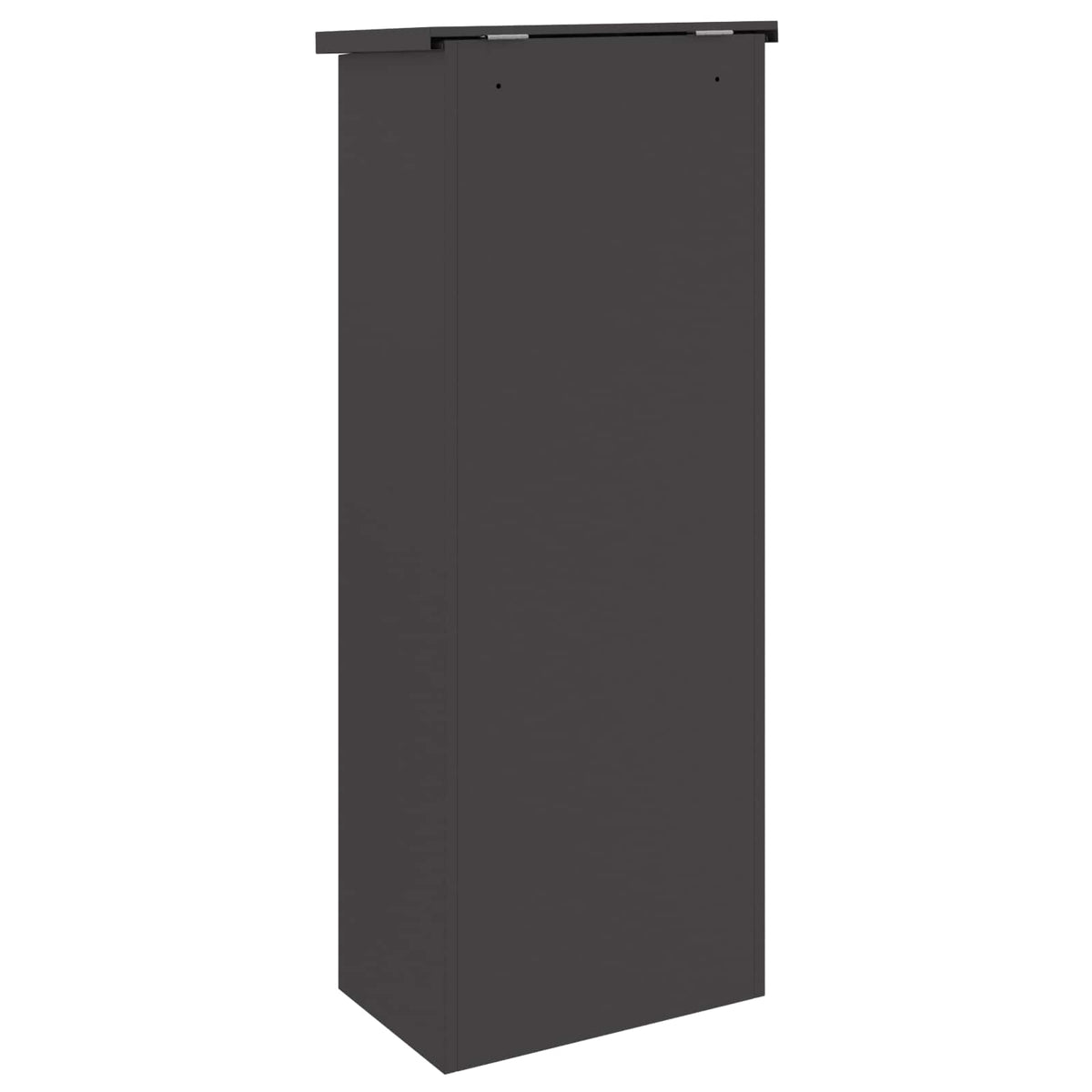 Parcel Drop Box with Storage Black 44.5 x 29 x 110.5 cm Steel