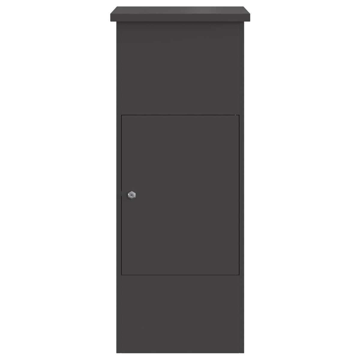 Parcel Drop Box with Storage Black 44.5 x 29 x 110.5 cm Steel