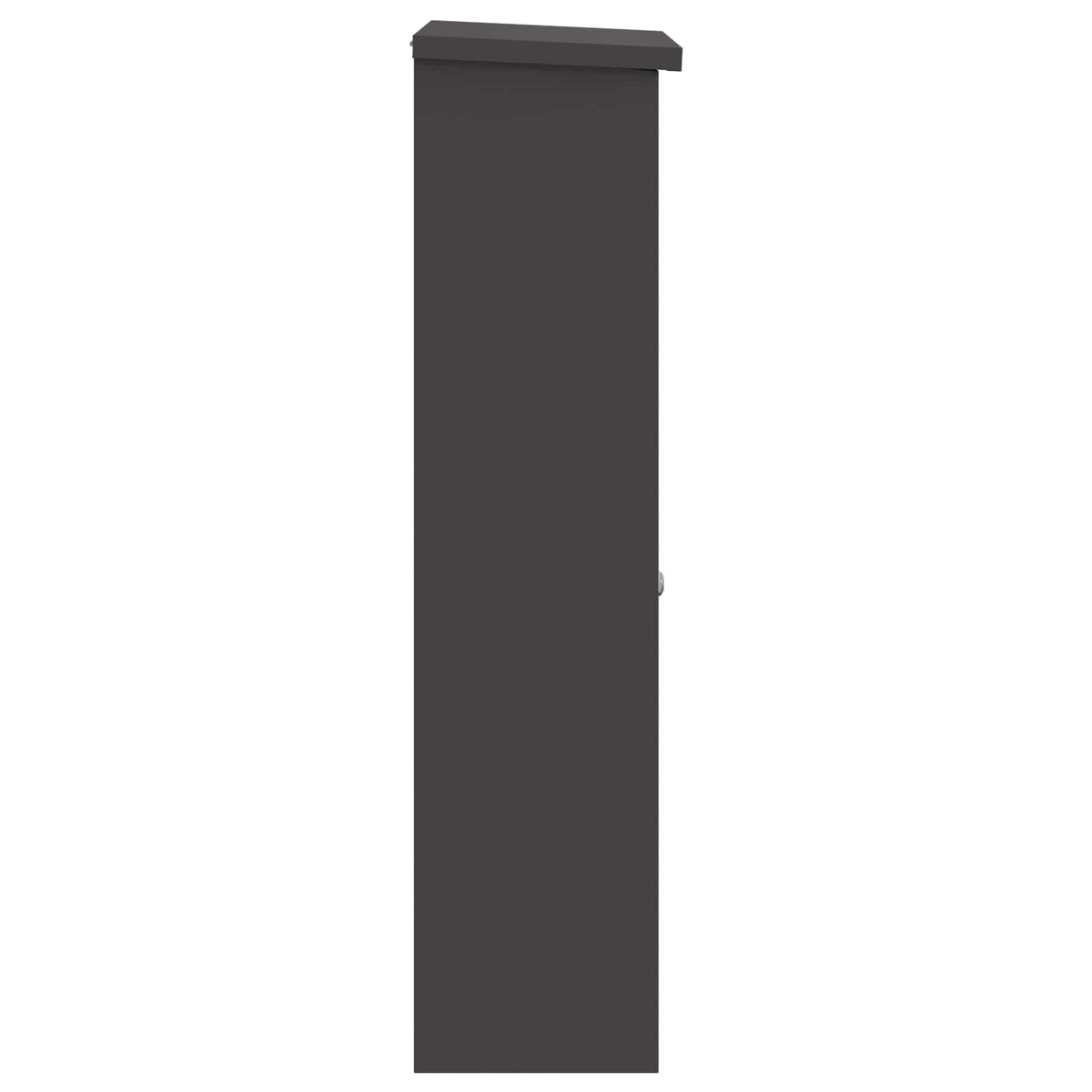Parcel Drop Box with Storage Black 44.5 x 29 x 110.5 cm Steel
