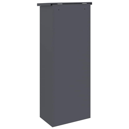 Parcel Drop Box with Door Anthracite 44.5 x 29 x 110.5 cm Steel