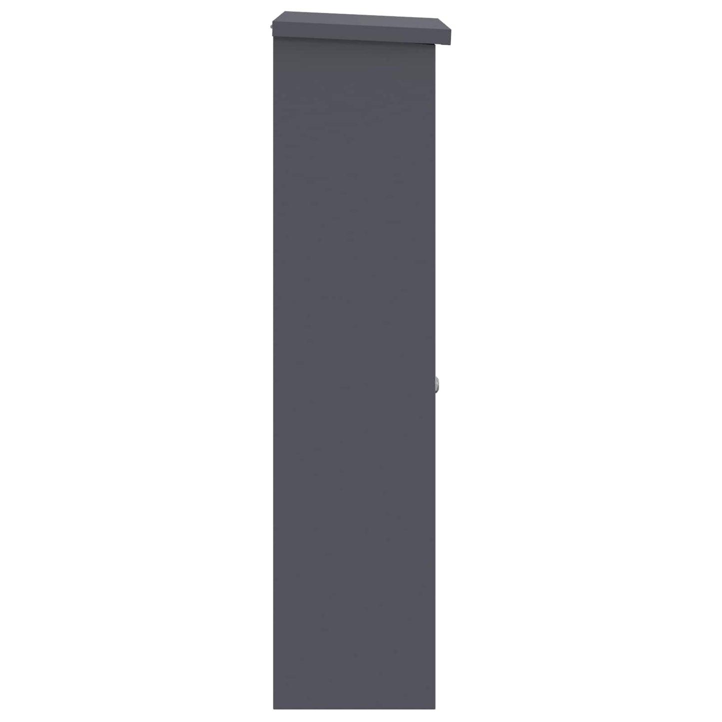 Parcel Drop Box with Door Anthracite 44.5 x 29 x 110.5 cm Steel