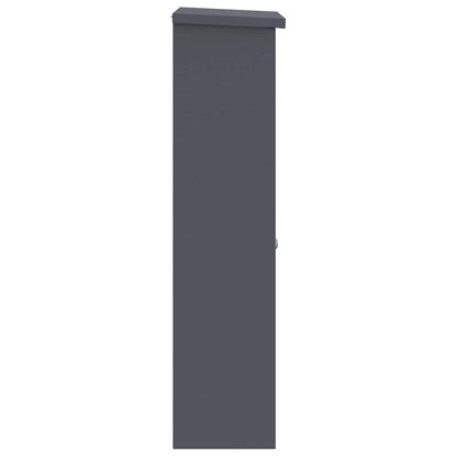 Parcel Drop Box with Door Anthracite 44.5 x 29 x 110.5 cm Steel