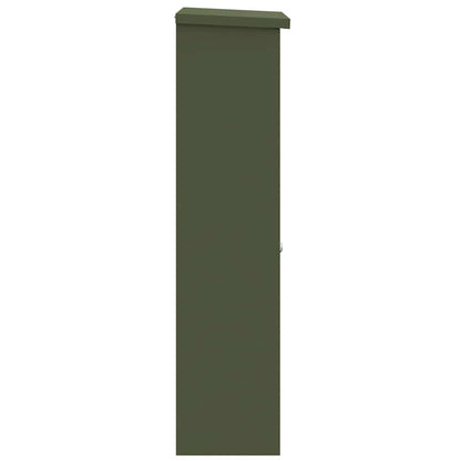 Parcel Drop Box Olive green 44.5 x 29 x 110.5 cm Steel