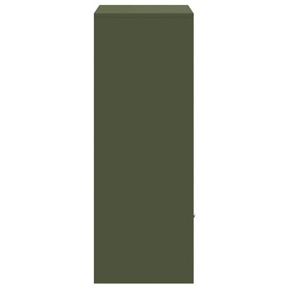 Parcel Drop Box with Storage Olive green 41 x 38 x 103 cm Steel