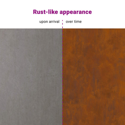 Garden Privacy Screen Rusty 50 x 140 cm Weathering steel