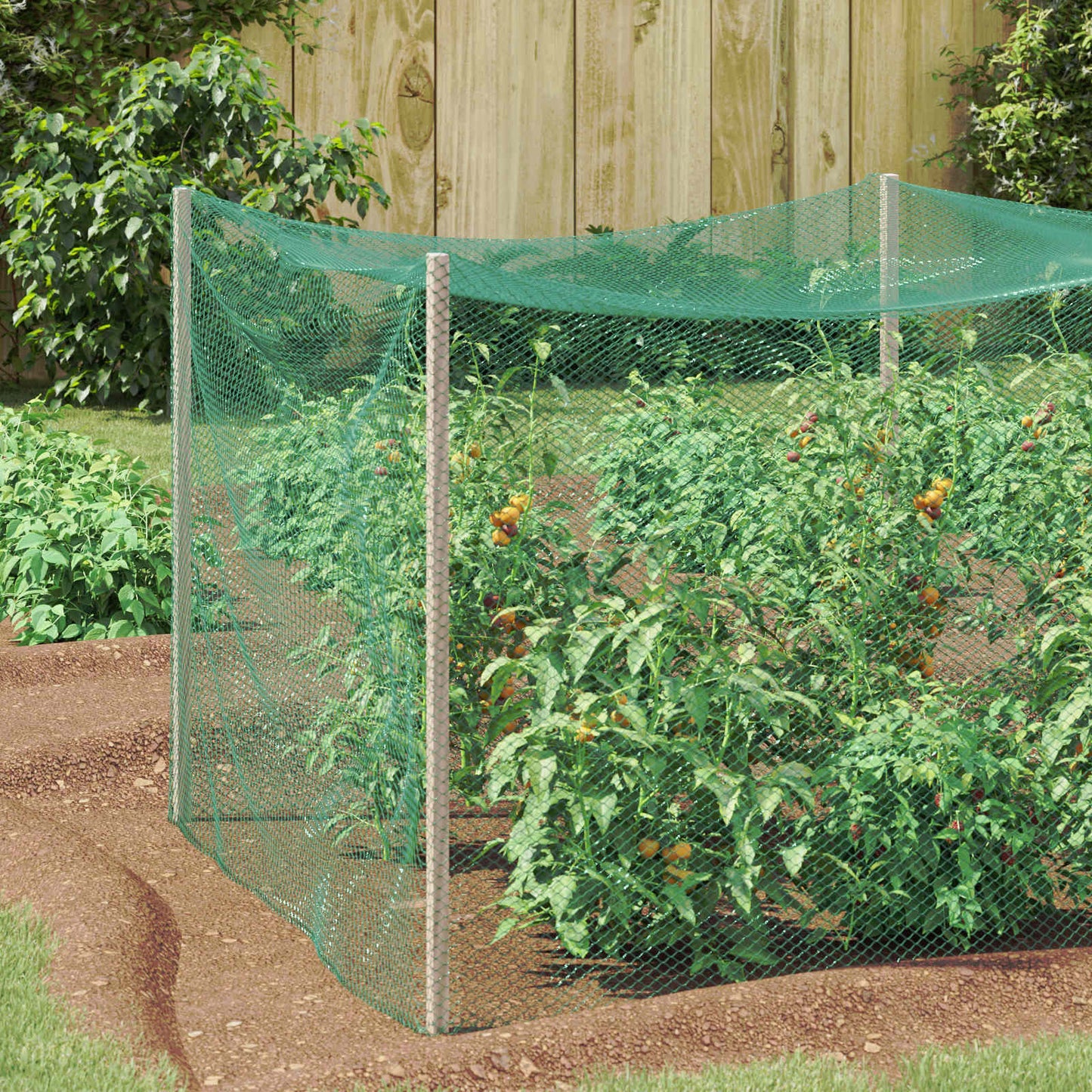 Bird Protection Net Green 2 x 5 m Polyethylene