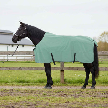 Horse Blanket Special Green 165 cm Polyester