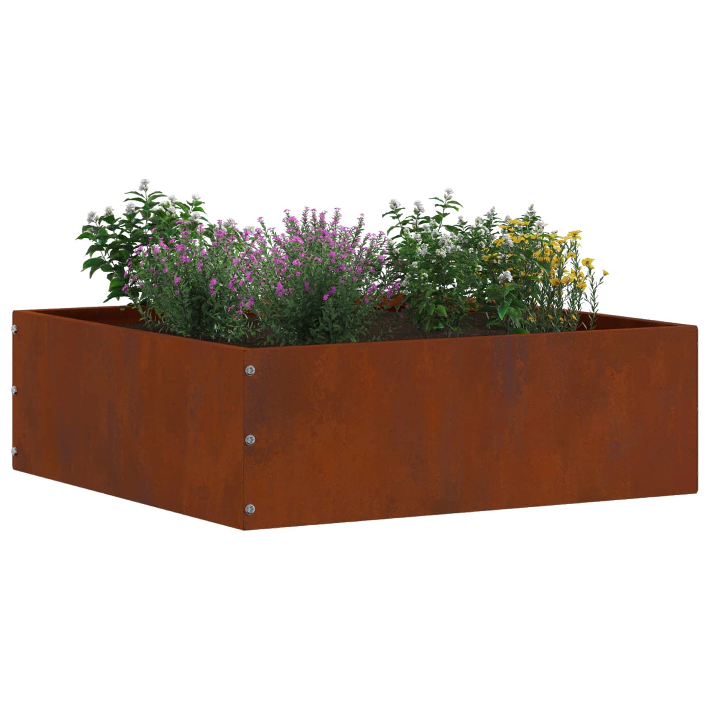 Lawn Edging Rusty 40 x 40 x 13 cm Weathering Steel