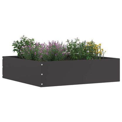 Lawn Edging Black 50 x 50 x 13 cm Steel