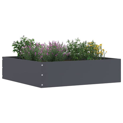 Lawn Edging Anthracite 50 x 50 x 13 cm Steel