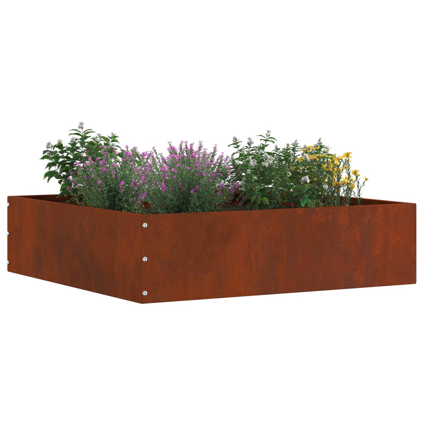 Lawn Edging 6 pcs Rusty 50 x 50 x 13 cm Weathering Steel