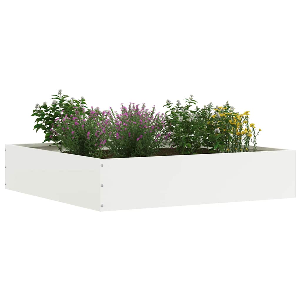 Lawn Edging White 60 x 60 x 13 cm Steel