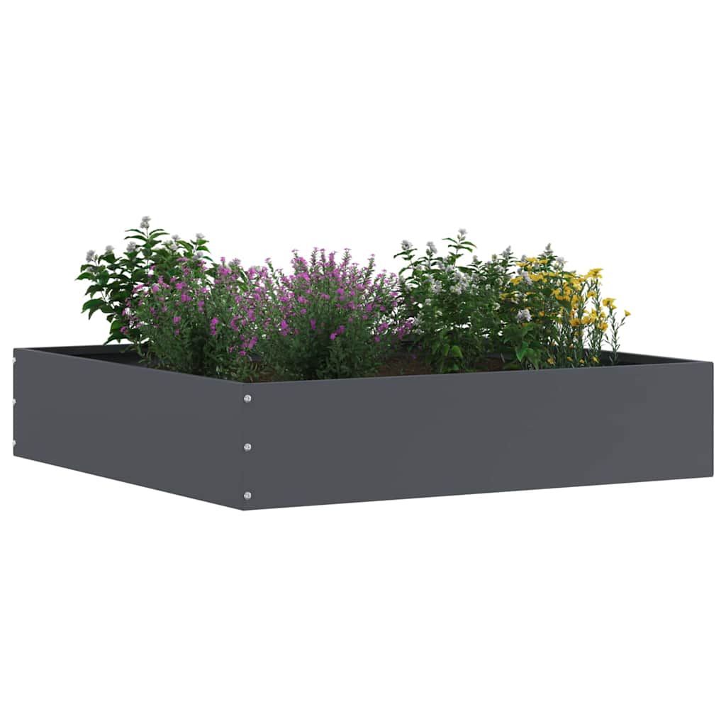 Lawn Edging Anthracite 60 x 60 x 13 cm Steel