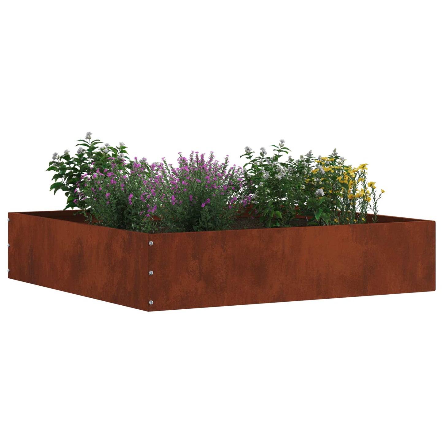 Lawn Edging 6 pcs Rusty 60 x 60 x 13 cm Weathering Steel