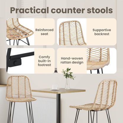 Bar Chair 2 pcs 44 x 52 x 111 cm Rattan and Iron