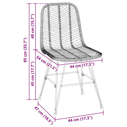 Dining Chair 2 pcs Rattan and Iron Natural 44.5 x 54.5 x 85 cm