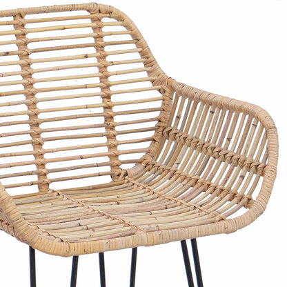 Bar Chair 2 pcs Natural 55 x 52 x 92 cm Rattan and Iron