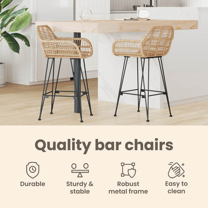 Bar Chair 2 pcs 55 x 52 x 92 cm Rattan and Iron