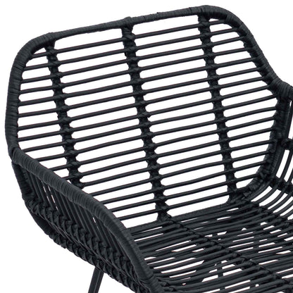 Dining Chair 2 pcs Rattan and Iron Black 55 x 50 x 74 cm